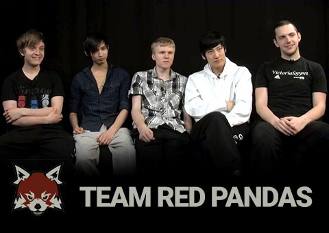 Pandas rojos del equipo Jerax