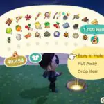 Animal Crossing New Horizons Money Tree Como hacer crecer
