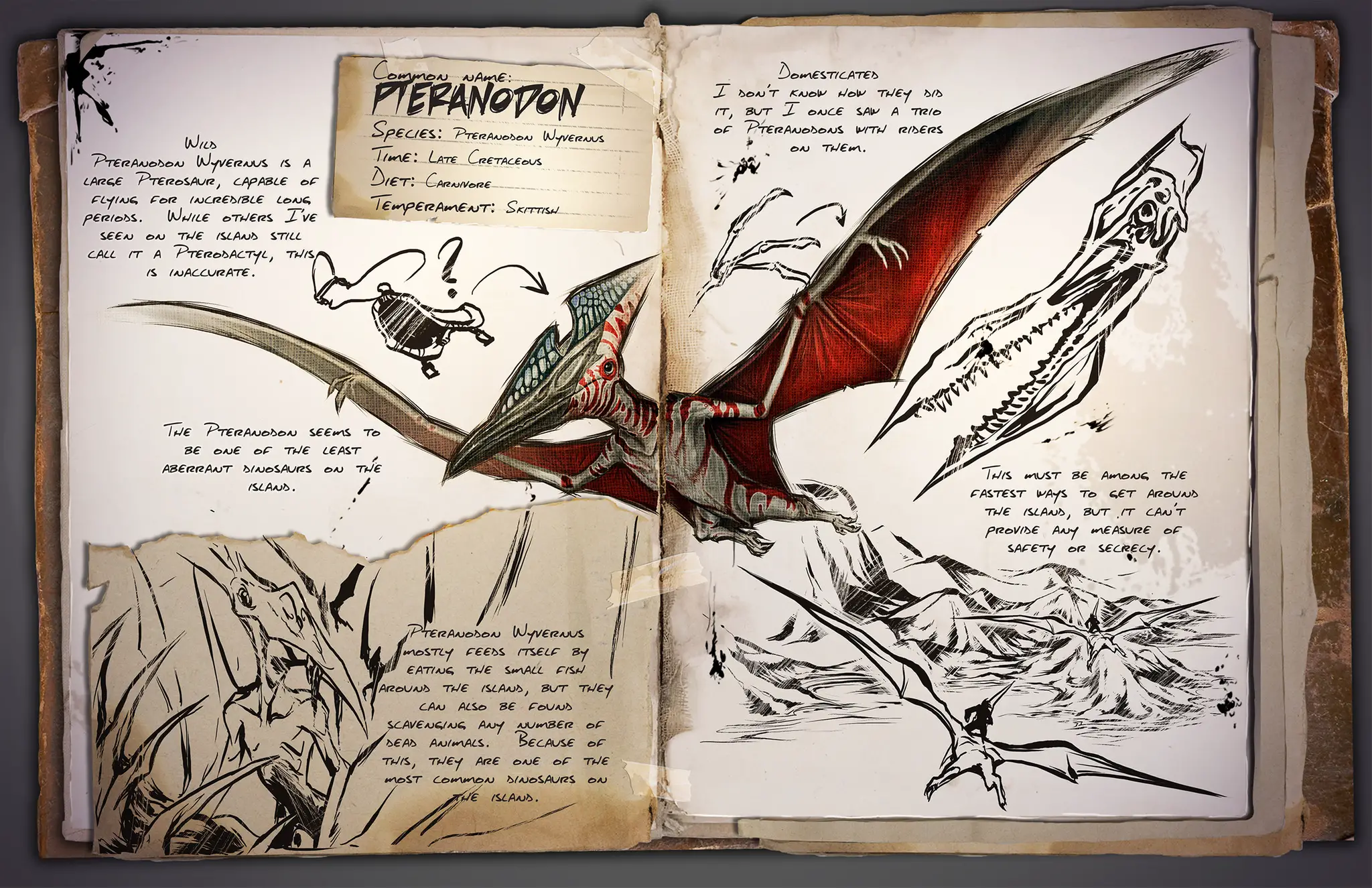 Evolución de la supervivencia del arca del dragón del ala