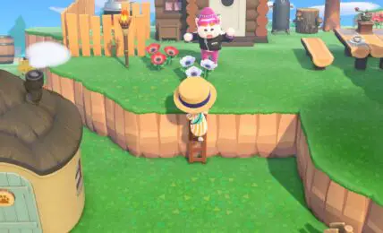 Animal Crossing New Horizons Ladder Como subir una cornisa haciendo
