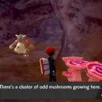 Pokemon Sword and Shield como obtener el maximo de hongos