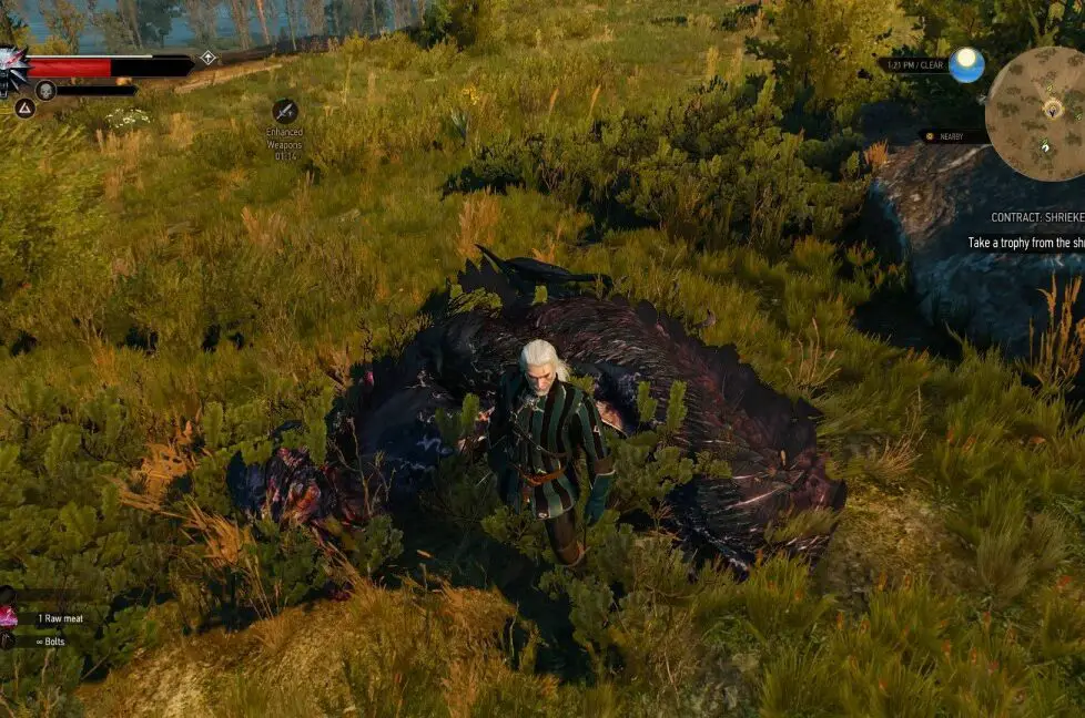 The Witcher 3 Screamer Covenant