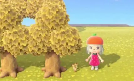 Animal Crossing New Horizons Mushroom Guide Donde encontrar diferentes