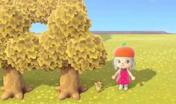 Animal Crossing New Horizons Mushroom Guide Donde encontrar diferentes
