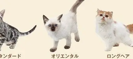 Sitio web de Nintendogs Cats actualizado con lista de
