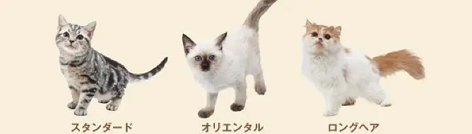 Sitio web de Nintendogs Cats actualizado con lista de