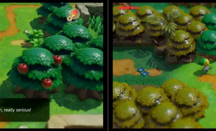 Zelda Links Awakening Guia de Bottle Grotto y Goponga Swamp