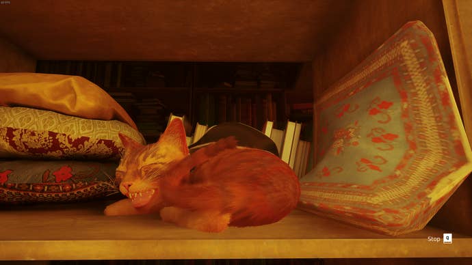 The Outsider, un gato, duerme la siesta en una estantería en The Rooftops of Stray.