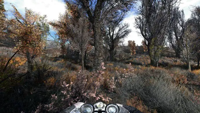 Los jugadores con binoculares miran los árboles en un mod de revisión hecho por fanáticos para STALKER: Shadow of Chernobyl.